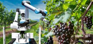 Robots Vineyard Italy